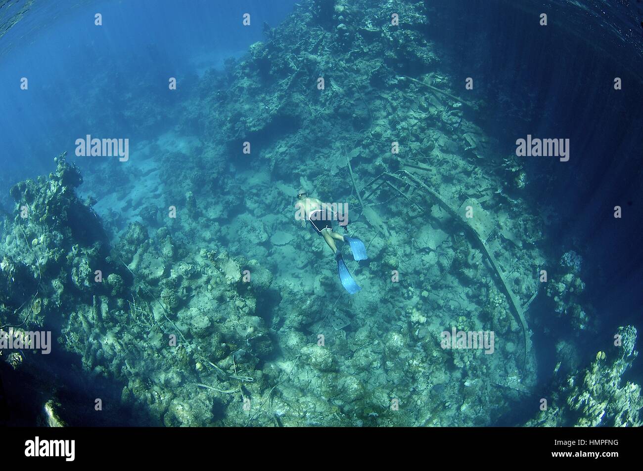 Schnorcheln am Polisini griechischen Wrack (Kinsei Maru), Banken Silver Marine Sanctuary, Dominikanische Republik, Karibik Stockfoto