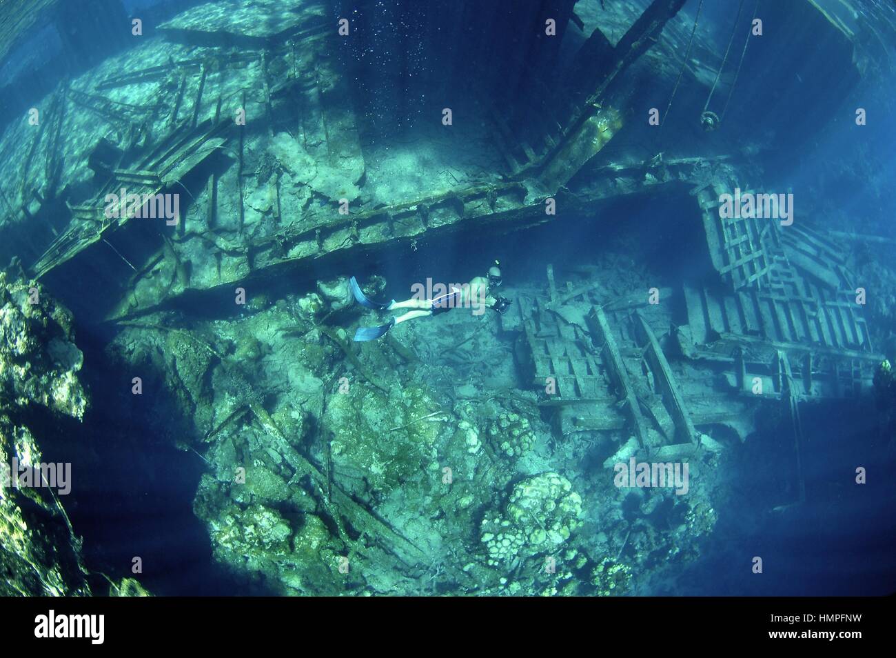 Schnorcheln am Polisini griechischen Wrack (Kinsei Maru), Banken Silver Marine Sanctuary, Dominikanische Republik, Karibik Stockfoto