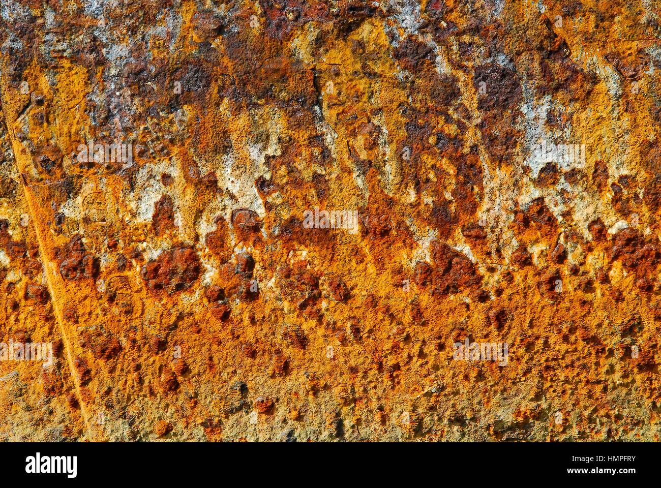 Polisini griechischen Wrack (Kinsei Maru), silberne Banken Marine Sanctuary, Dominikanische Republik, Karibik Stockfoto