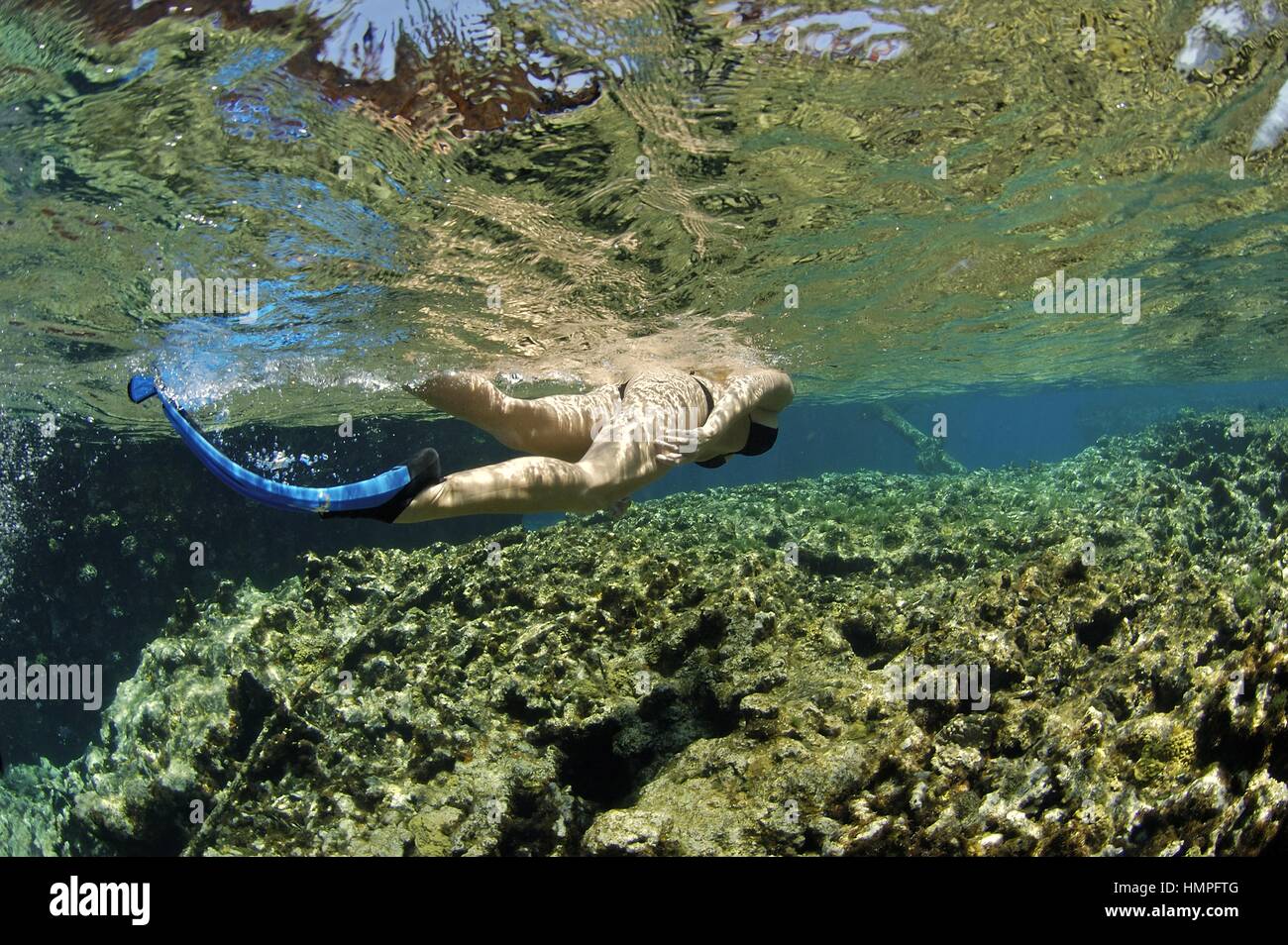 Schnorcheln am Polisini griechischen Wrack (Kinsei Maru), Banken Silver Marine Sanctuary, Dominikanische Republik, Karibik Stockfoto