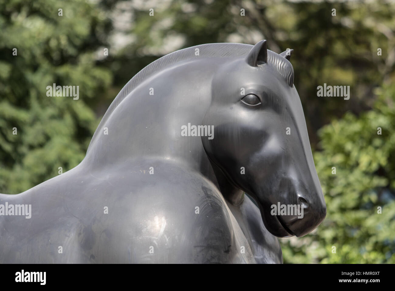 16. Oktober 2016 Medellin, Kolumbien: Closeup Details Botero surrealistischen Pferd Statue im Zentrum Stadt öffentlich angezeigt Stockfoto