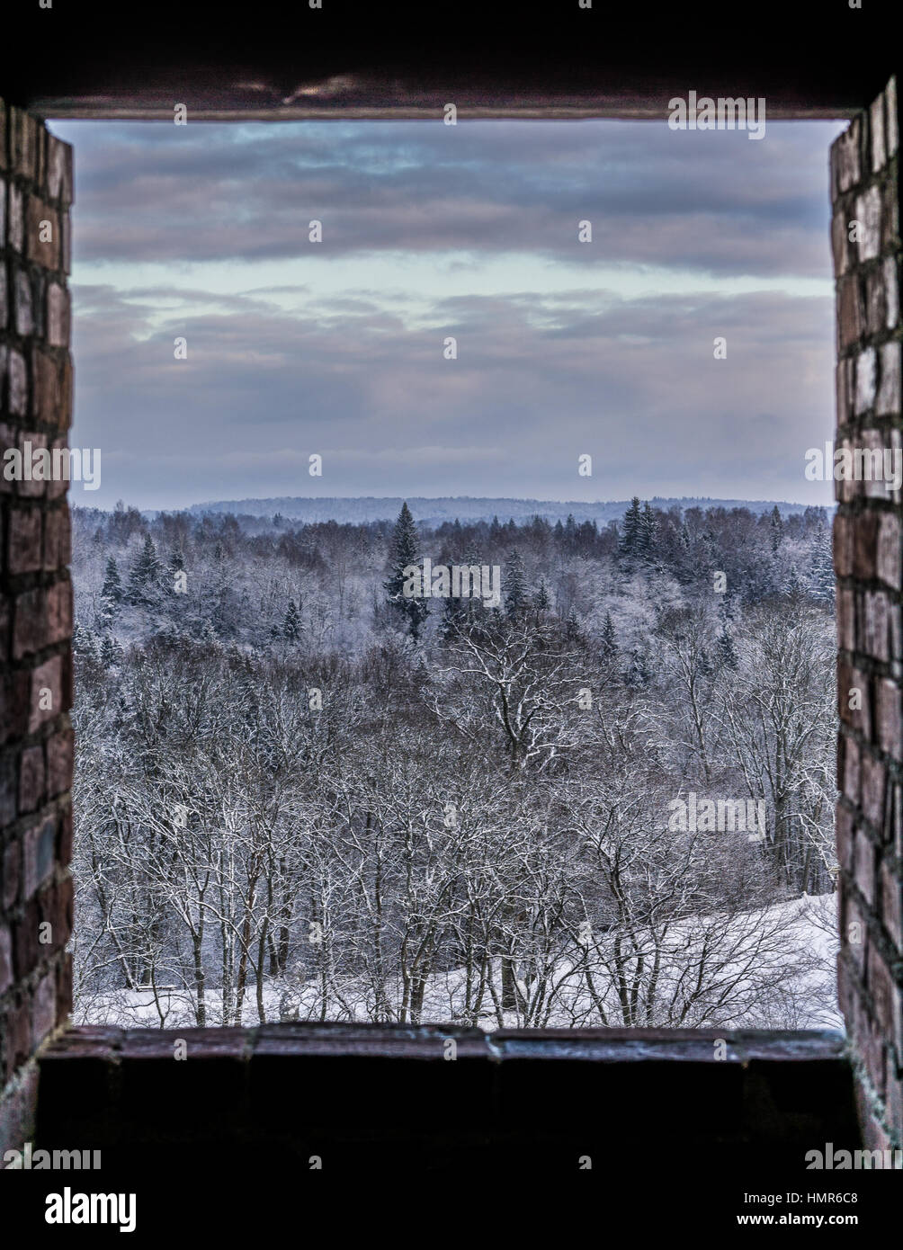 Blick auf den gefrorenen Wald in Sigulda, Lettland Stockfoto