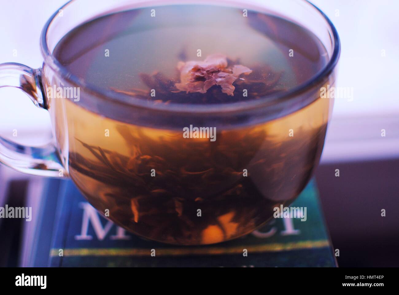 Schöne chinesische Tee und gutes Buch beste Weg zur magischen Nachmittag Entspannung, Meditation. Stockfoto