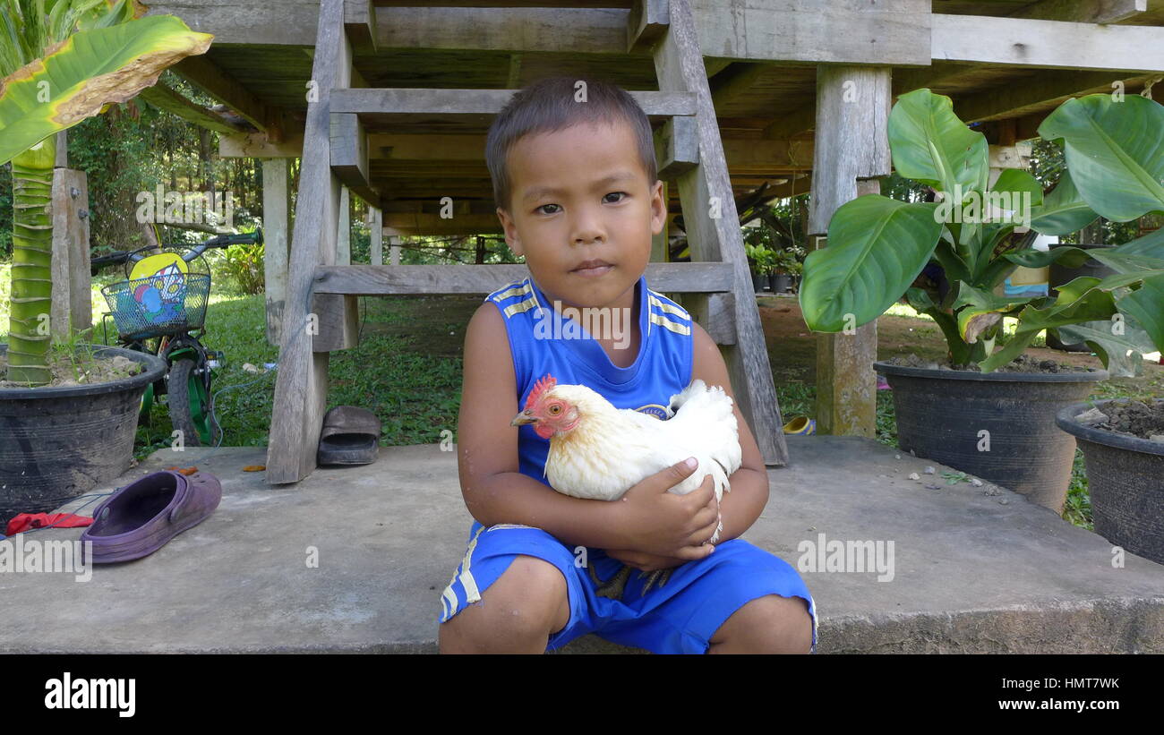 Junge hält Chiken, Koh Jum, Thailand Stockfoto