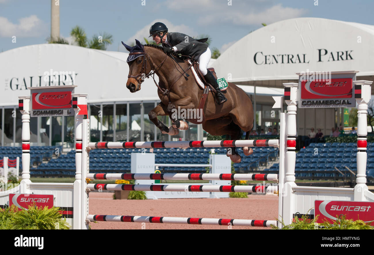 Wellington, USA. 4. Februar 2017. Beth Underhill Fahrten während der SUNCAST $35.000 1,50 M Classic während des Winter Equestrian Festival in Palm Beach International Equestrian Center in Wellington, Florida. Bildnachweis: MediaPunch Inc/Alamy Live-Nachrichten Stockfoto