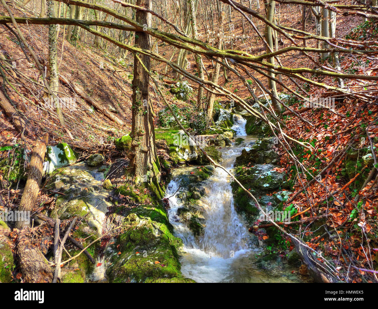 Späten winter schöne Mountain Creek bunte Natur, Kalnik, Kroatien Stockfoto