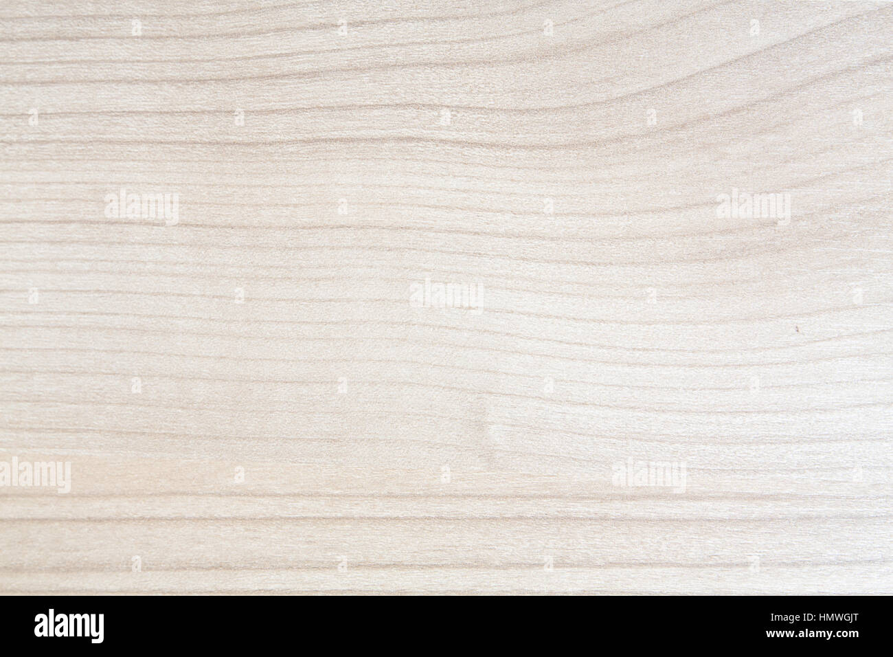 Hohe Auflösung blonde Holzstruktur Stockfoto