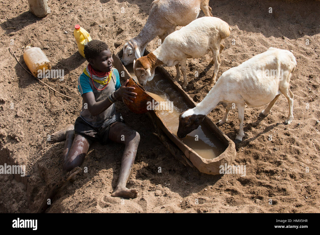 Äthiopien, südlichen Nationen, untere Omo Valley, Kangaten, Dorf Kakuta, Nyangatom Stamm, Hirten geben Wasser für ihre Ziegen aus Wasser Löcher in trockenen Fluss Kibish, die Region leidet unter extremer Wasserknappheit Stockfoto