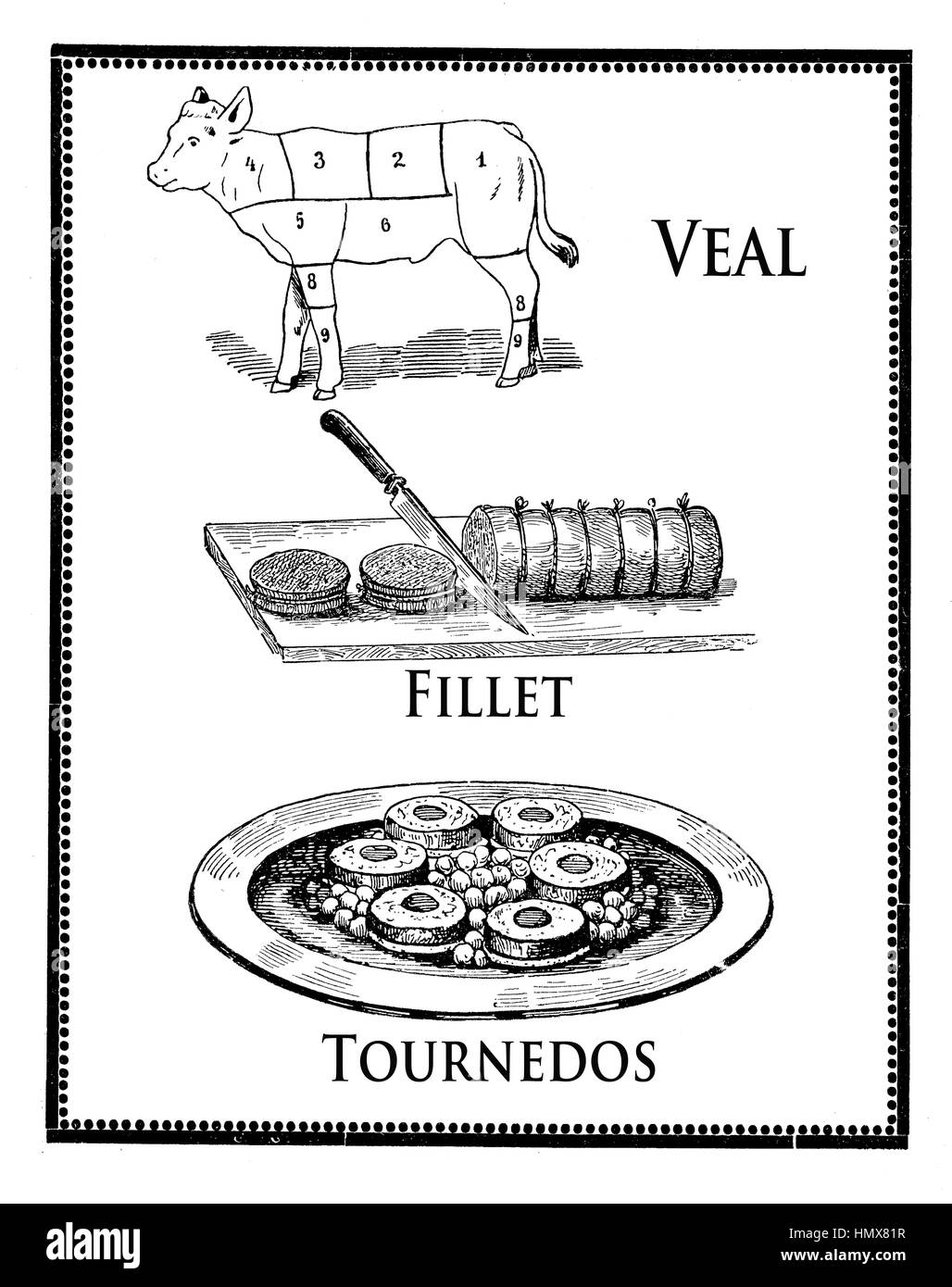 Vintage Küche Gravur, Gebratenes Kalbfleisch Filet, Tournedos und Kalb Diagramm mit nummerierten Abschnitten Stockfoto