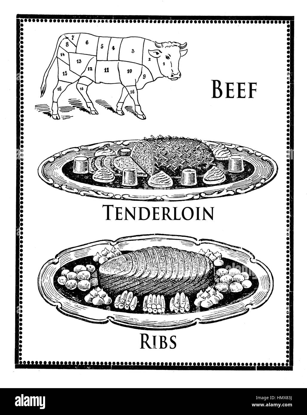 Vintage Küche Gravur, Metzger Rindfleisch schneidet und die Kunst der Zubereitung von Rinderfilet und Rippen Stockfoto
