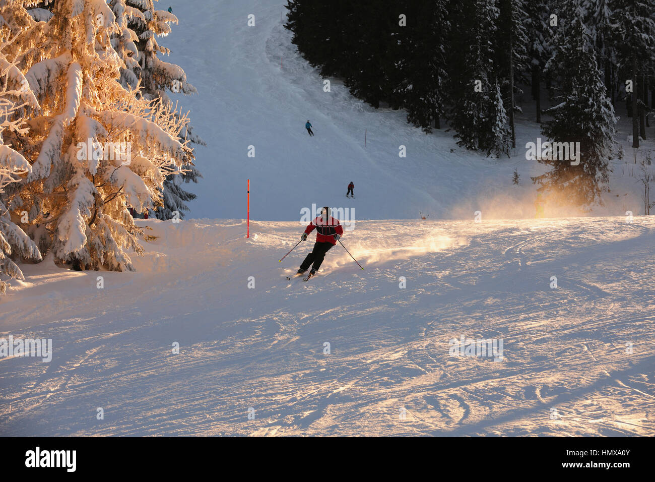 Skifahrer mit Helm Skifahren auf der Piste. Die Skipiste direkt auf einem Hügel, bedeckt mit Schnee gebadet in einem goldenen Sonnenuntergang Bäume. Blick auf Schnee bedeckt-Skipiste Stockfoto