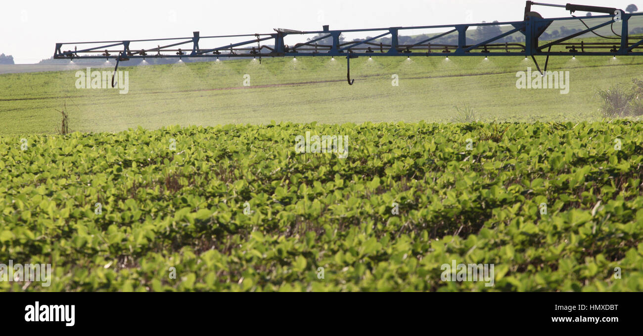 CAMPO MOURÃO, PR - 06.02.2017: VENDAS DE DEFENSIVOS VOLTAM A CRESCER - das Wetter wird voraussichtlich starke Winde zu den Pestizid-Unternehmen in Brasilien im Jahr 2017 zu bringen. Die erwartete gute Ernte für große Pflanzen gepflanzt in der Saison 2016/17 und erhöhte Luftfeuchtigkeit, die das Auftreten von Schädlingen und Krankheiten begünstigt, sie haben bereits begonnen, die Nachfrage für Pestizide und ein stabiler Wechselkurs vergrößern da Großteil der Versorgung importiert wird, wird es erwartet, dass Einnahmen aus dem Verkauf dieses Jahr den Aufwärtstrend fortsetzen, die bis 2014 war. auf dem Foto machen Landwirte Anwendung Fungizide in Soja-Ernte Stockfoto