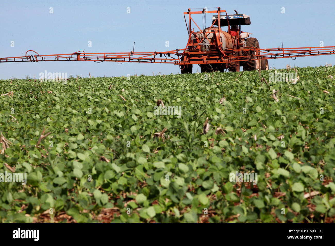 CAMPO MOURÃO, PR - 06.02.2017: VENDAS DE DEFENSIVOS VOLTAM A CRESCER - das Wetter wird voraussichtlich starke Winde zu den Pestizid-Unternehmen in Brasilien im Jahr 2017 zu bringen. Die erwartete gute Ernte für große Pflanzen gepflanzt in der Saison 2016/17 und erhöhte Luftfeuchtigkeit, die das Auftreten von Schädlingen und Krankheiten begünstigt, sie haben bereits begonnen, die Nachfrage für Pestizide und ein stabiler Wechselkurs vergrößern da Großteil der Versorgung importiert wird, wird es erwartet, dass Einnahmen aus dem Verkauf dieses Jahr den Aufwärtstrend fortsetzen, die bis 2014 war. auf dem Foto machen Landwirte Anwendung Fungizide in Soja-Ernte Stockfoto