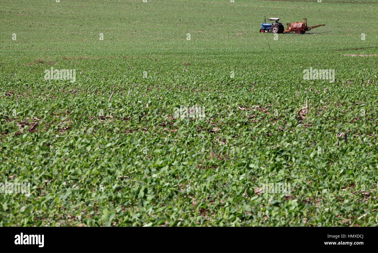 CAMPO MOURÃO, PR - 06.02.2017: VENDAS DE DEFENSIVOS VOLTAM A CRESCER - das Wetter wird voraussichtlich starke Winde zu den Pestizid-Unternehmen in Brasilien im Jahr 2017 zu bringen. Die erwartete gute Ernte für große Pflanzen gepflanzt in der Saison 2016/17 und erhöhte Luftfeuchtigkeit, die das Auftreten von Schädlingen und Krankheiten begünstigt, sie haben bereits begonnen, die Nachfrage für Pestizide und ein stabiler Wechselkurs vergrößern da Großteil der Versorgung importiert wird, wird es erwartet, dass Einnahmen aus dem Verkauf dieses Jahr den Aufwärtstrend fortsetzen, die bis 2014 war. auf dem Foto machen Landwirte Anwendung Fungizide in Soja-Ernte Stockfoto