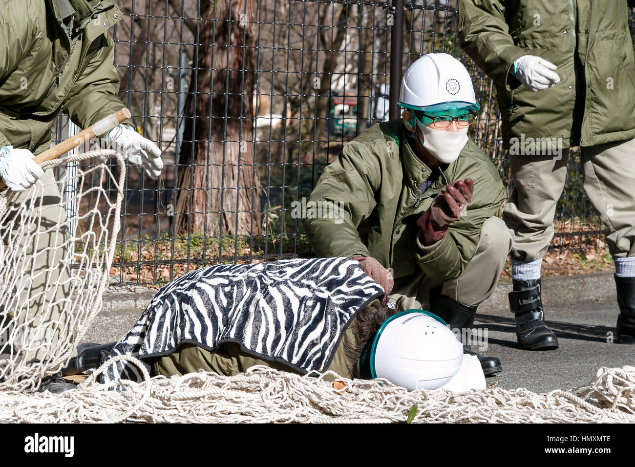 Tokio, Japan. 7. Februar 2017. Tierpfleger bewachen eine verletzte Mitarbeiter während einer entkam Tier Drill bei Tama Zoological Park am 7. Februar 2017, Tokio, Japan. Der jährliche Flucht Bohrer findet in Tokio Zoos für Tierpfleger zu üben, wie sie im Falle einer Naturkatastrophe oder anderen Notfällen reagieren müssten. In diesem Jahr ein Mitglied des Personals in einem Schimpansen Kostüm wurde gefangen genommen und von anderen Tierpfleger bevor es heraus auf den Straßen von Tokio entkommen konnte. Bildnachweis: Aflo Co. Ltd./Alamy Live-Nachrichten Stockfoto