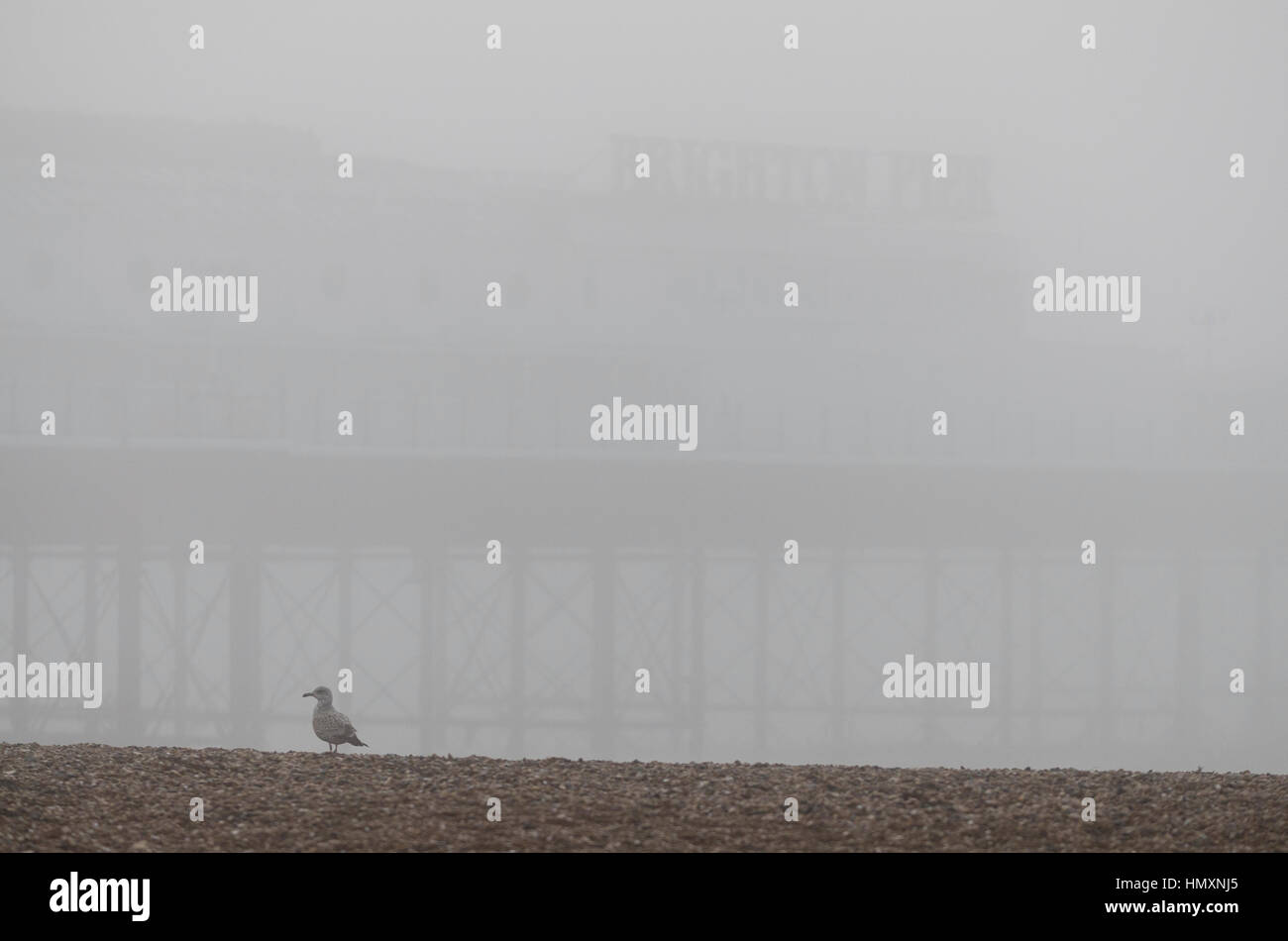 Brighton, East Sussex. 7. Februar 2017. Großbritannien Wetter. Brighton Seafront eingehüllt in einem sehr dichten Nebel zu Beginn des Tages. Bildnachweis: Francesca Moore/Alamy Live-Nachrichten Stockfoto