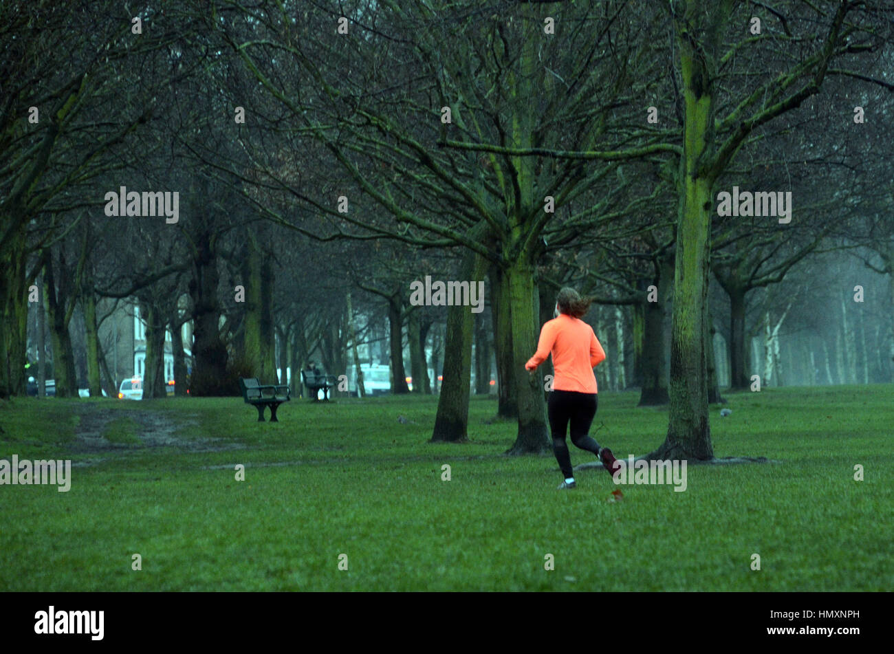London, UK. 7. Februar 2017. Nebligen Morgen auf Wandsworth Common. Bildnachweis: JOHNNY ARMSTEAD/Alamy Live-Nachrichten Stockfoto