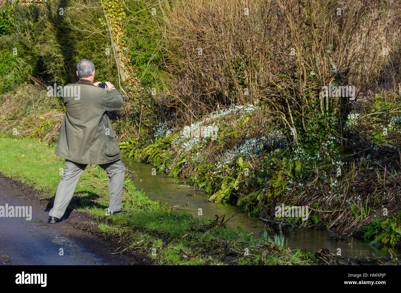 Compton Valence, Dorset, UK. 7. Februar 2017. Großbritannien Wetter. Besucher zu Fuß entlang der Spur durch das Dorf Compton Valence in Dorset, die jährliche Anzeige von Schneeglöckchen auf dem Seitenstreifen der Straße an einem schönen sonnigen Tag anzuzeigen. Bildnachweis: Graham Hunt/Alamy Live-Nachrichten Stockfoto