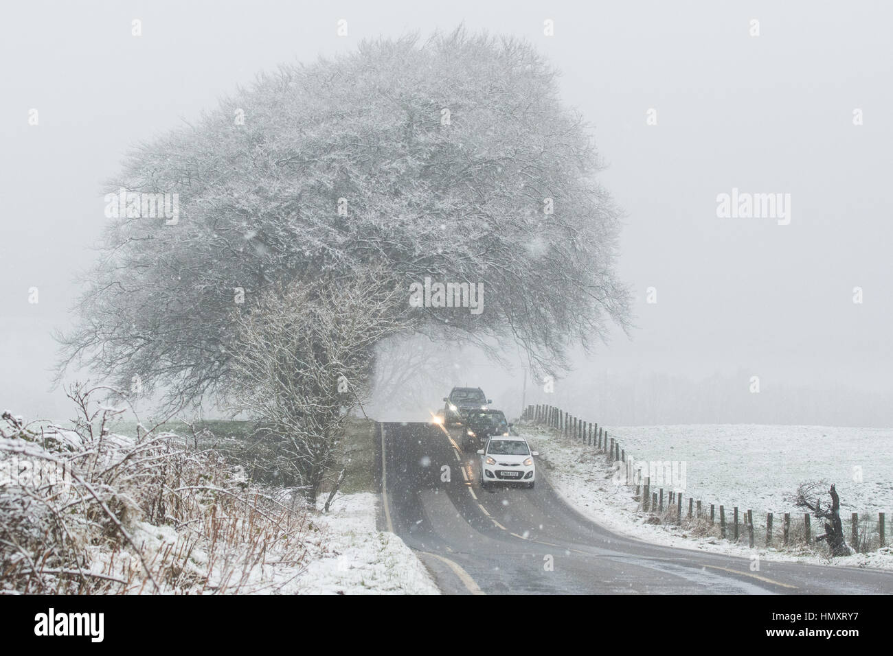 Balfron, Stirling, UK. 7. Februar 2017. UK-Wetter - Schnee und Nebel auf einer Anhöhe in Stirlingshire Credit: Kay Roxby/Alamy Live News Stockfoto