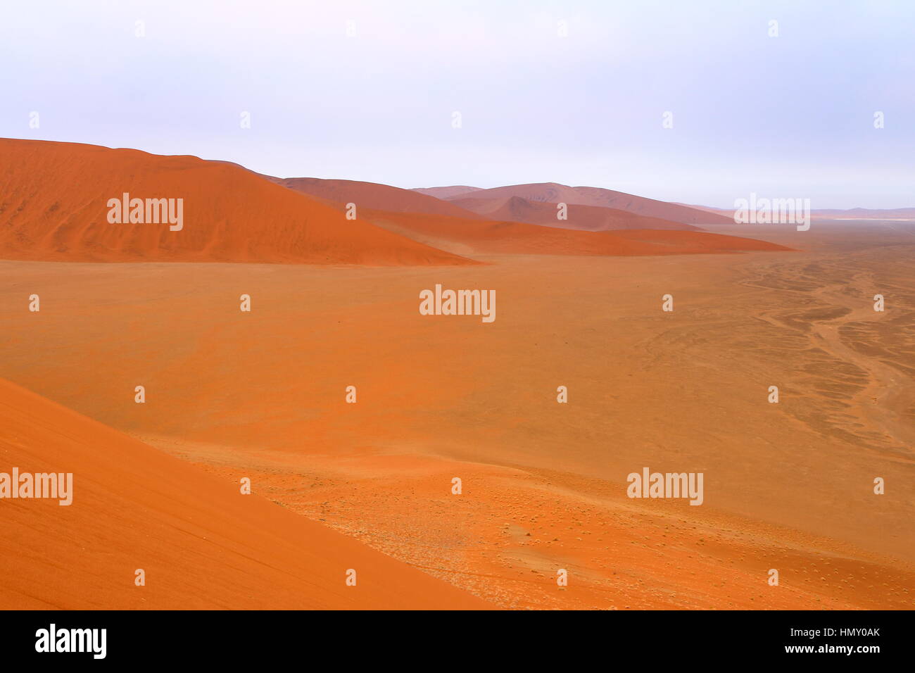 Sossusvlei: tot Akazien in der Namib-Wüste, Namibia Stockfoto