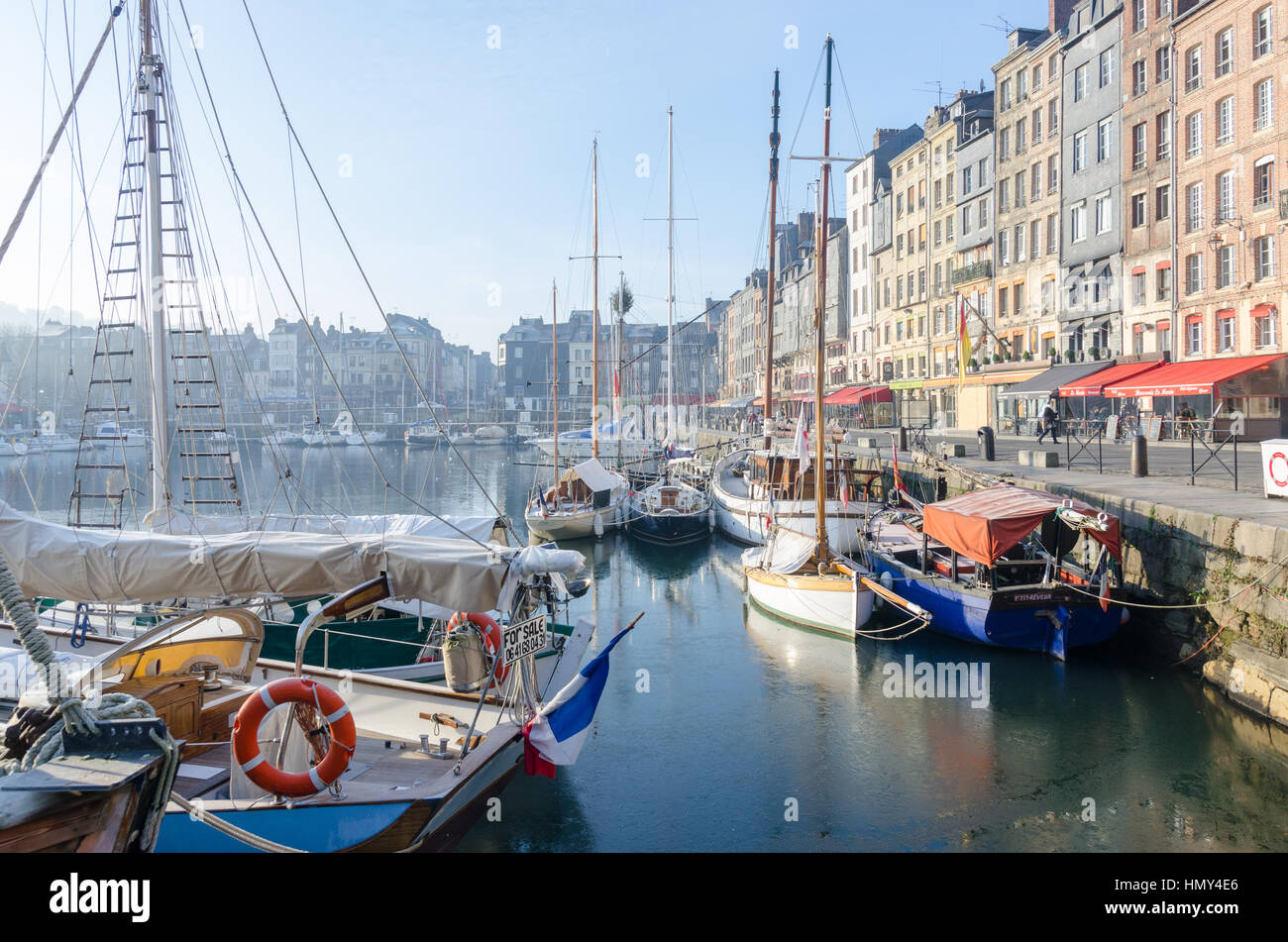 Hohe schmale Häuser in Vieux Bassin in den Hafen von Honfleur, Normandie Stockfoto