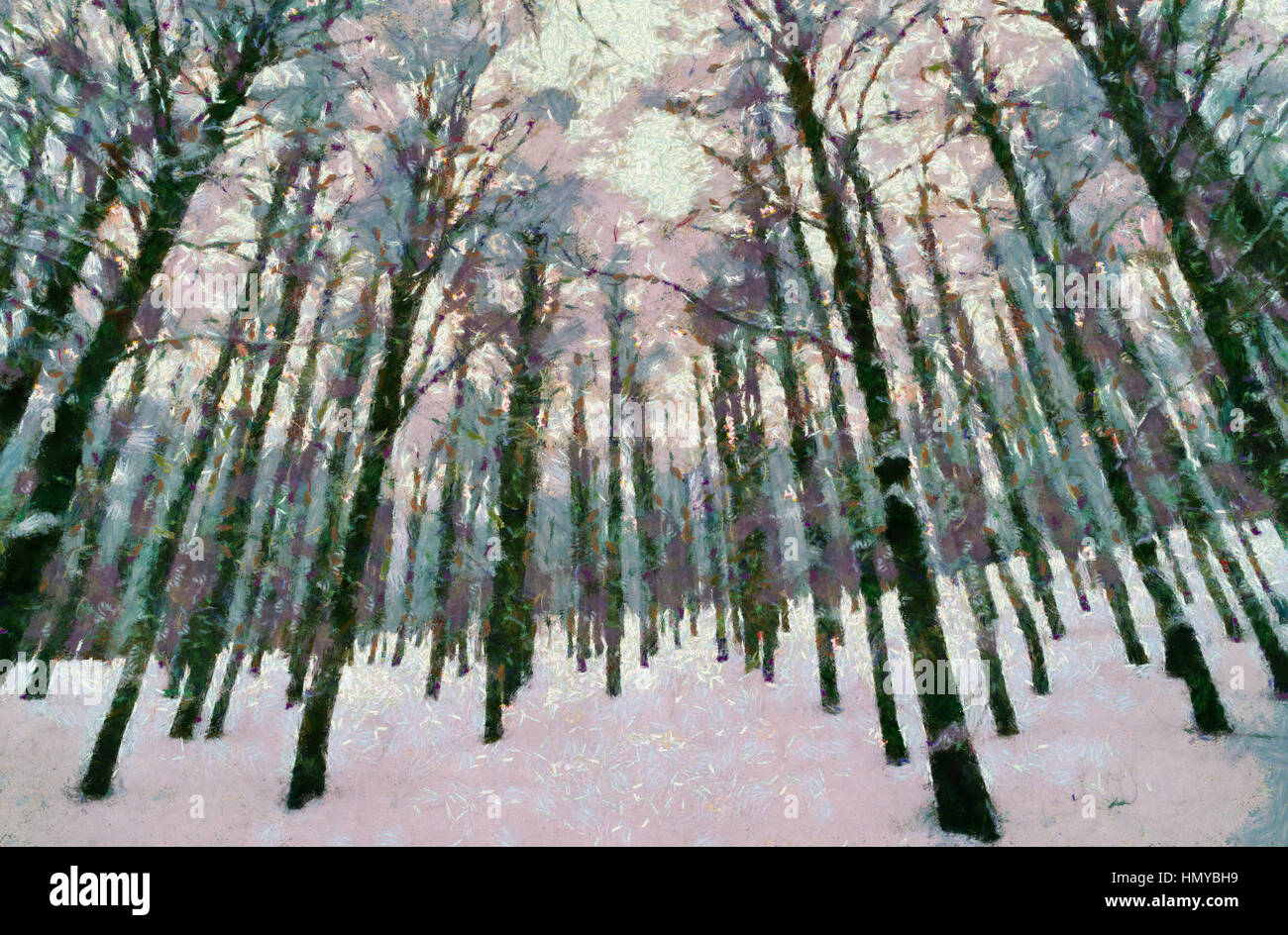 Schnee in den Wald Stockfoto