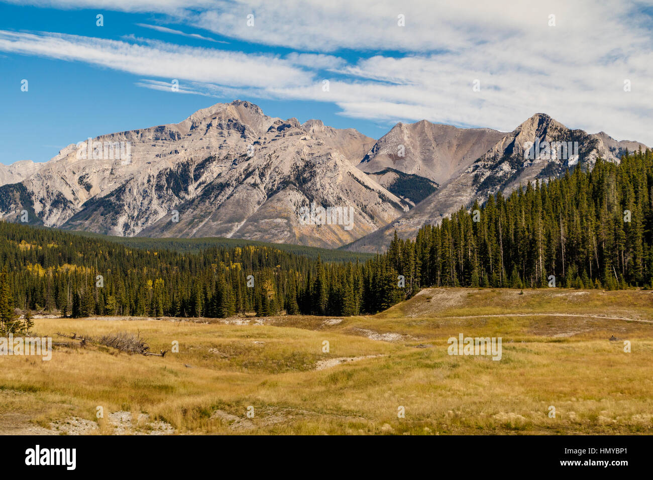 Die Rocky Mountains, allgemein bekannt als die Rocky Mountains, im Banff Nationalpark, Alberta, Kanada. Stockfoto