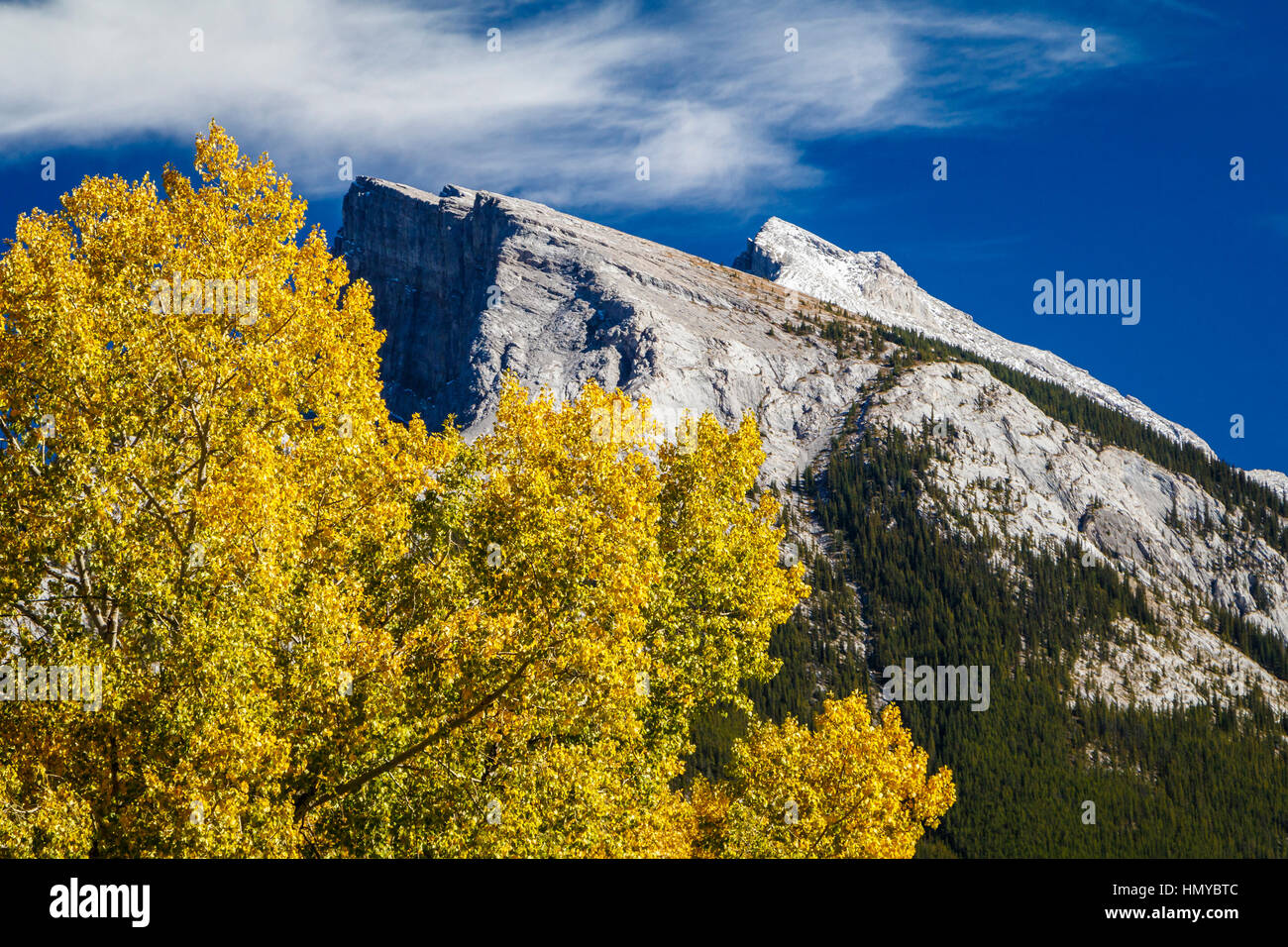 Die Rocky Mountains und Herbst Blätter am Rande der Stadt in Banff, Alberta, Kanada. Stockfoto