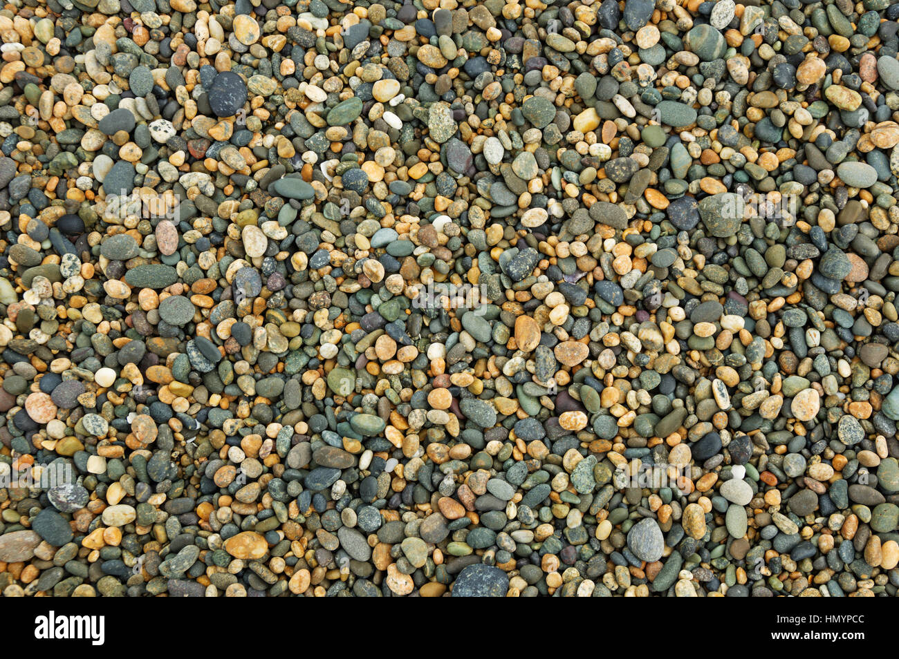 Multi farbige Hintergrund Kiesel vom Strand in Neuseeland Stockfoto