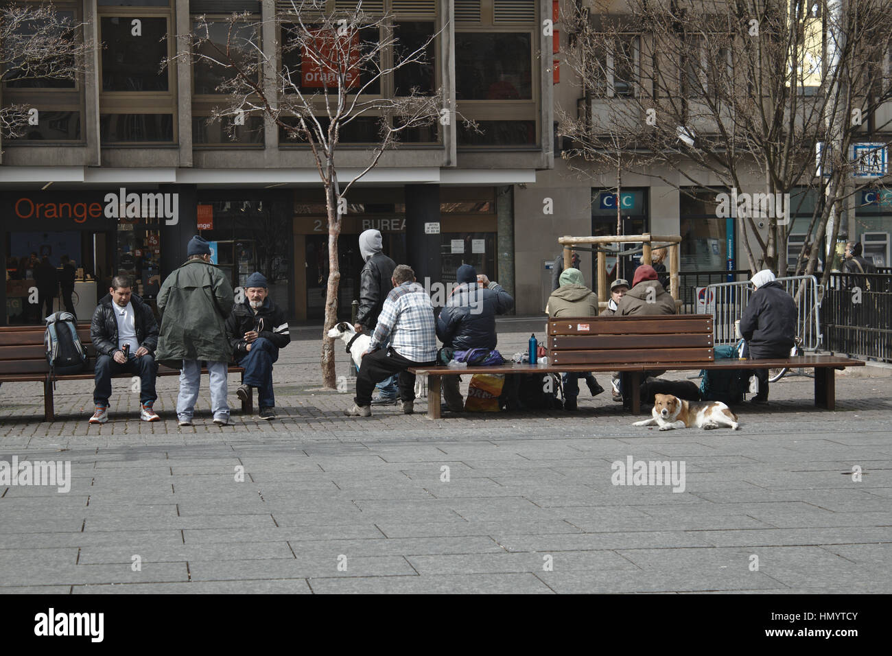 Obdachlose Menschen sitzen auf einer Bank in Straßburg mit Hunden und Getränke Stockfoto