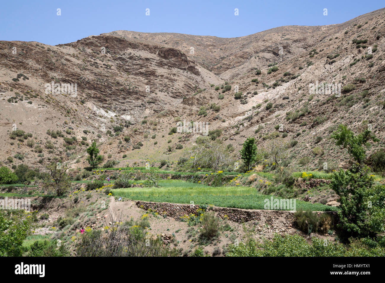 Atlas, Marokko. Acker im engen Tal zwischen Marrakesch und Ouarzazate. Stockfoto
