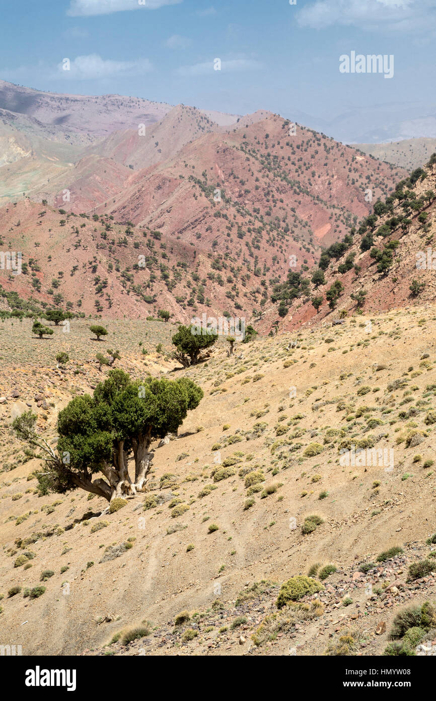 Atlas-Gebirge in der Nähe von Tizi N'Tichka übergeben, Marokko.  Semi-ariden Terrain. Stockfoto