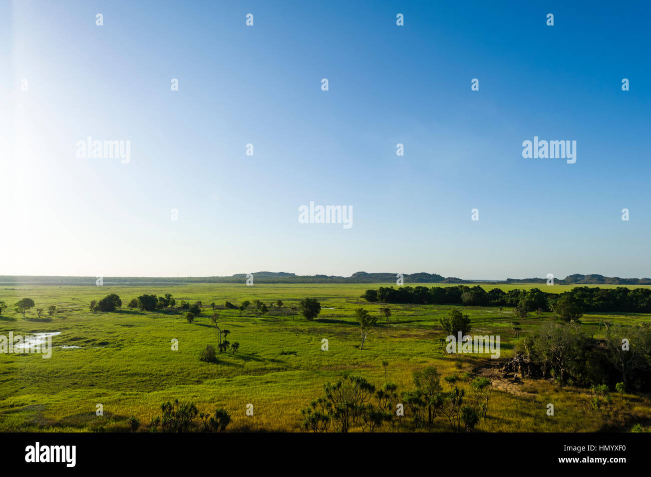 Eine große üppige Aue auf der Höhe des Top End, Trockenzeit. Stockfoto