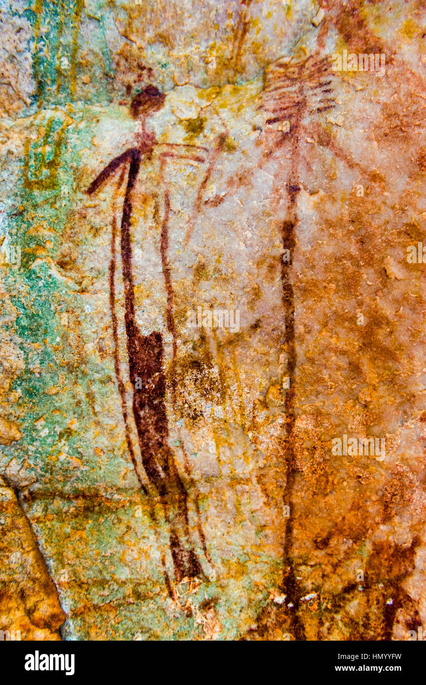 Alten Felsmalereien der Aborigines Gwion Gwion auch bekannt als Bradshaw Felszeichnungen mit einem Tier Figuren wird auf 50.000 geschätzt. Stockfoto