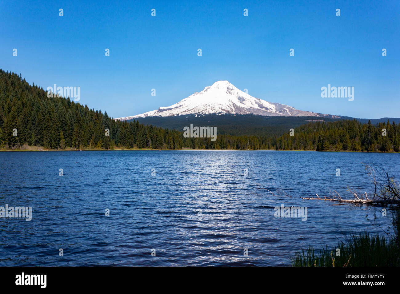 Mt. Hood von Trillium Lake in der Nähe von Portland, Oregon. Stockfoto