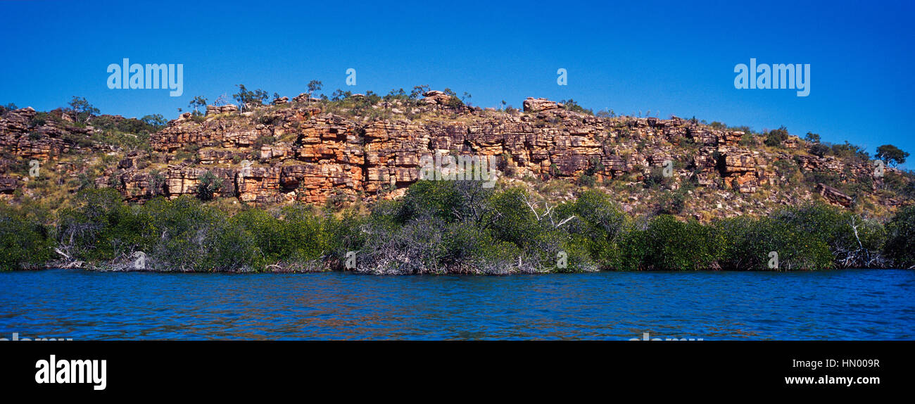 Mangroven säumen den Fuß einer Felswand Sandstein in der Kimberley-Region. Stockfoto