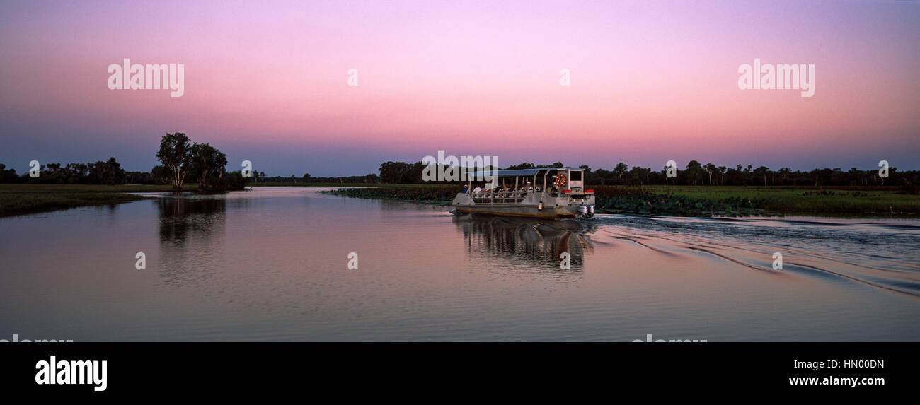 Ein Touristenboot erforscht eine ruhige Billabong während dem Sonnenuntergang Nachleuchten. Stockfoto