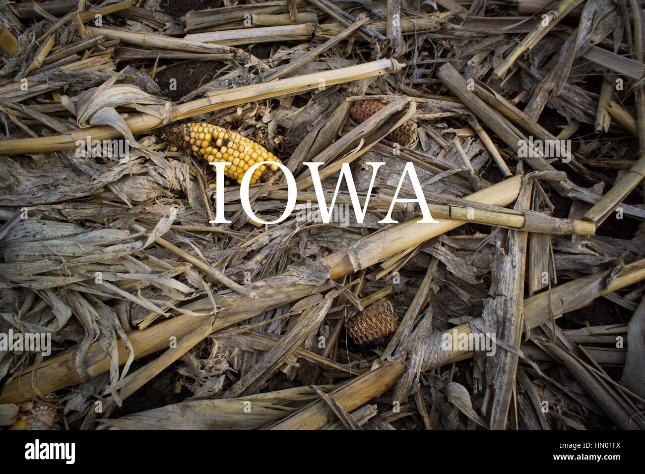 Schöne Iowa Stockfoto