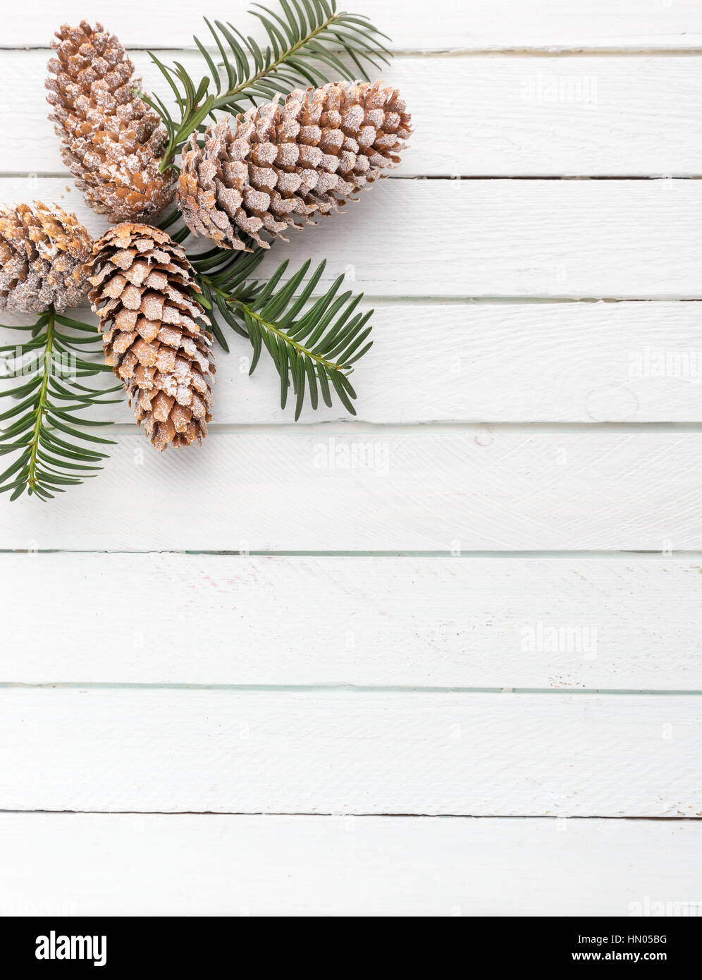 Weißer hölzernen Hintergrund mit Schnee bedeckt Tannenzapfen Stockfoto