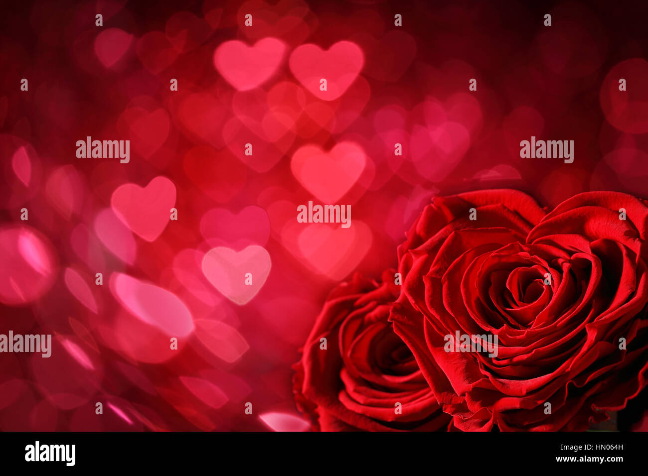 Rosen und Herzen Hintergrund. Hochzeit oder Valentinstag Hintergrund Stockfoto