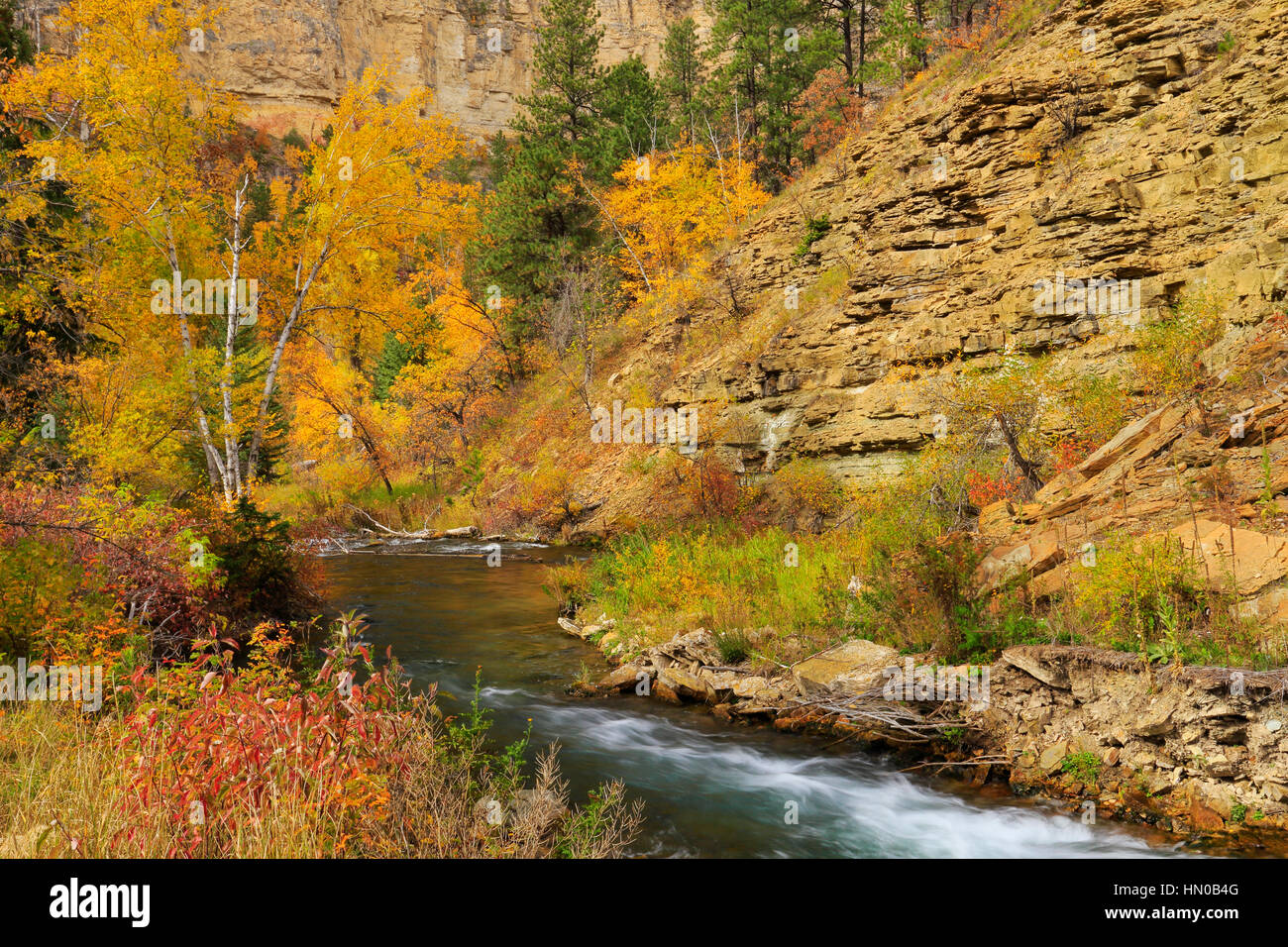 Lange Tal Picknickplatz, Spearfish Creek, Spearfish Canyon, Black Hills, Spearfish, South Dakota, USA Stockfoto