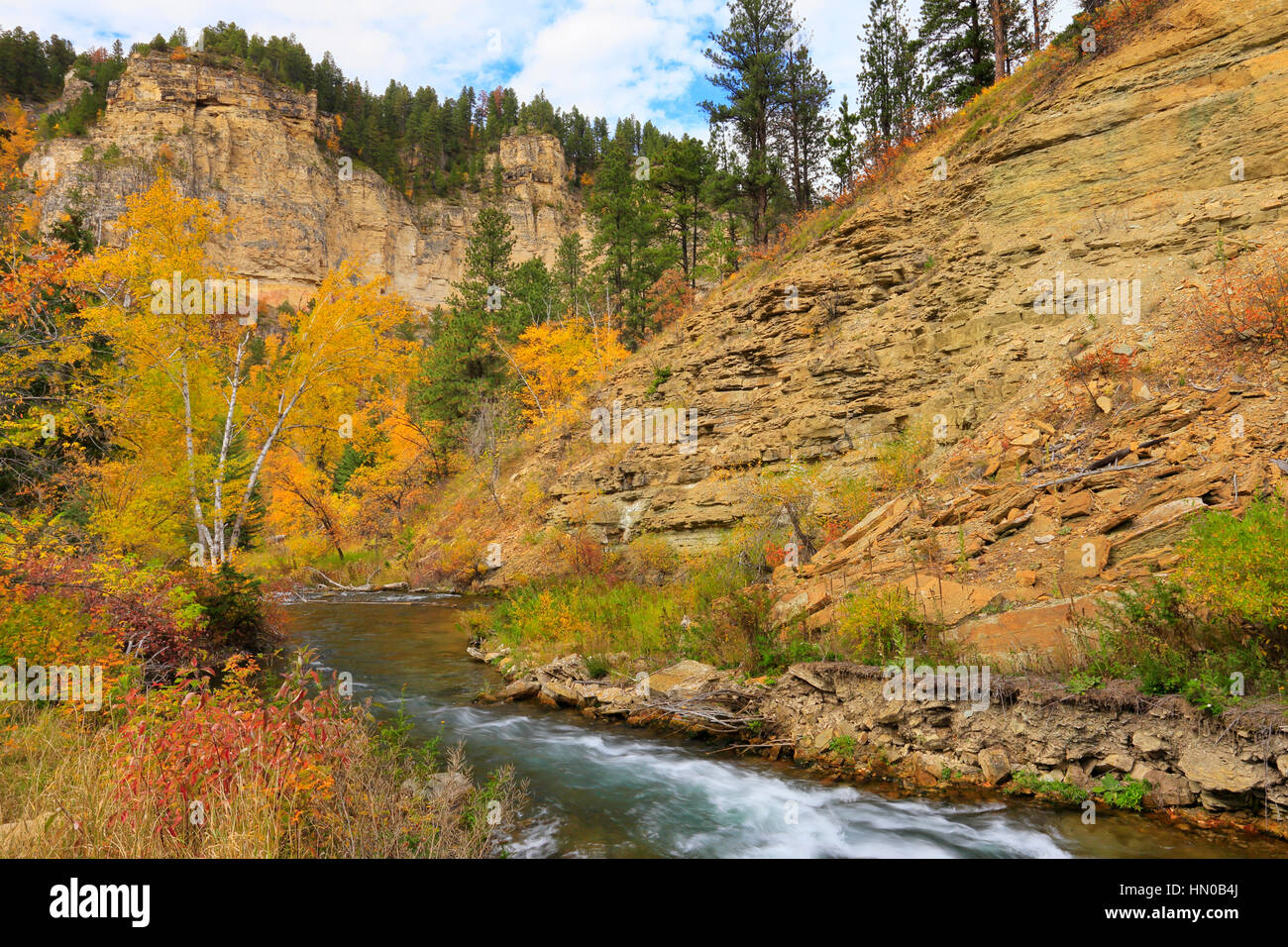 Lange Tal Picknickplatz, Spearfish Creek, Spearfish Canyon, Black Hills, Spearfish, South Dakota, USA Stockfoto