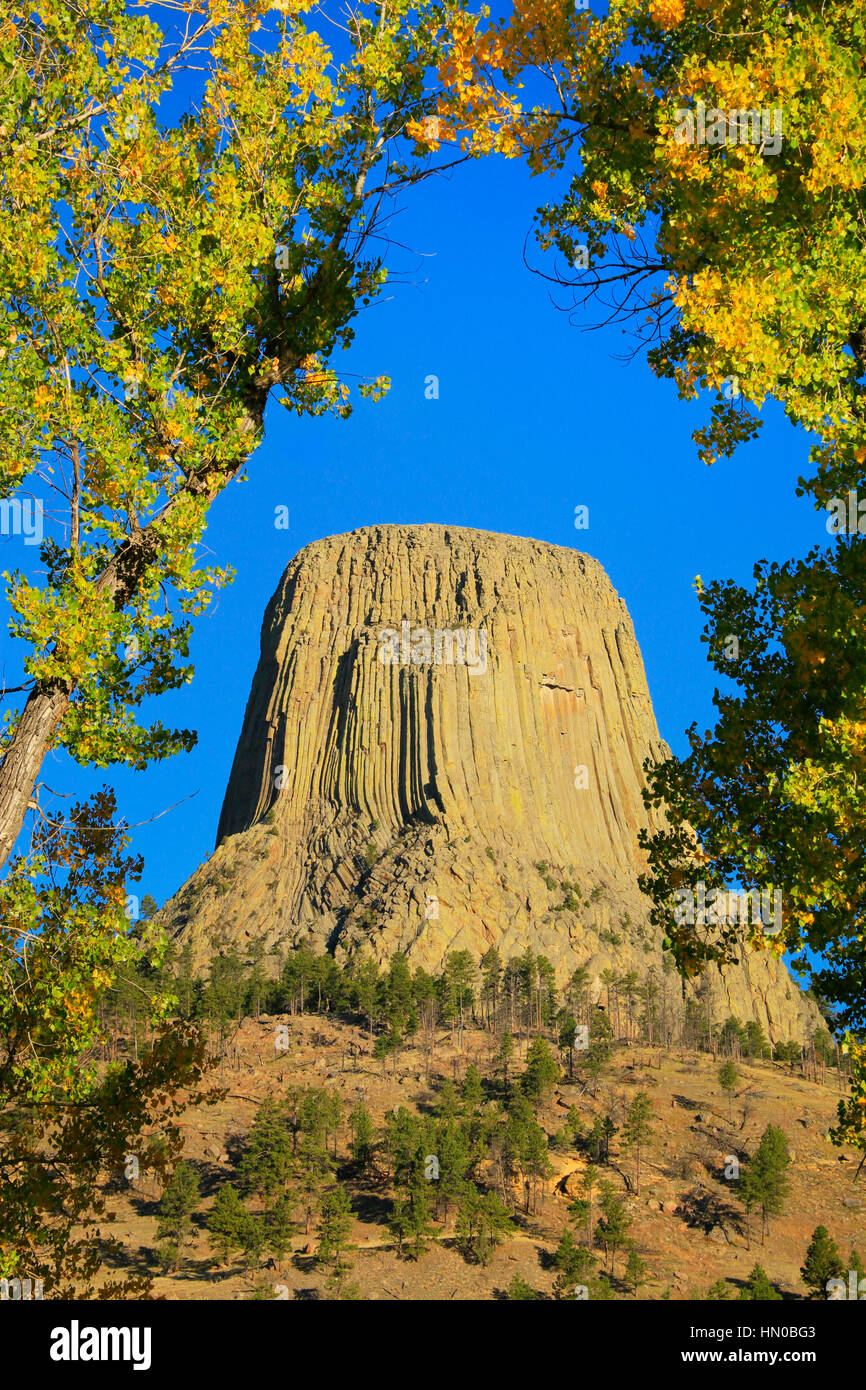 Devils Tower Nationalmonument, Devils Tower in Wyoming Stockfoto