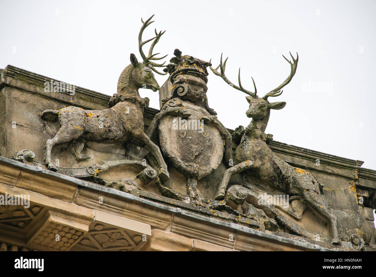 Hirsche und Wappen auf dem Halbmond in Buxton, Derbyshire Stockfoto