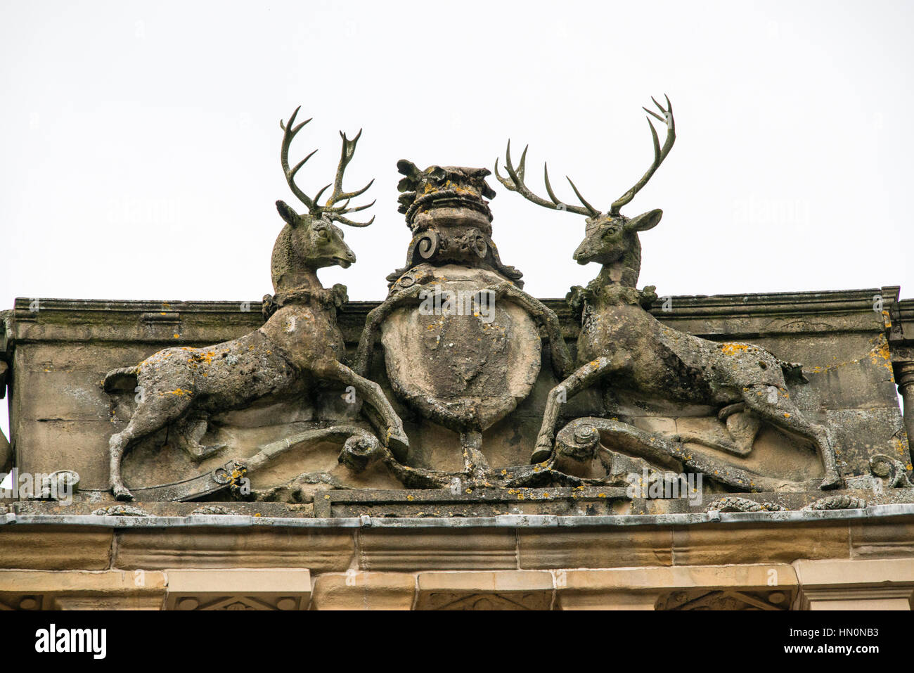 Hirsche und Wappen auf dem Halbmond in Buxton, Derbyshire Stockfoto