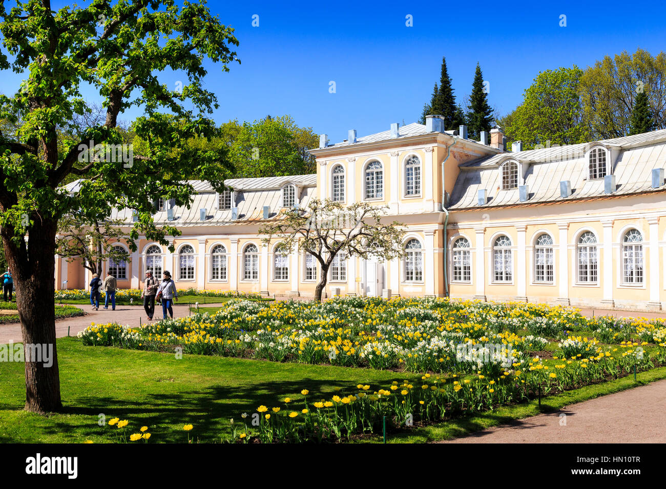 Gewächshaus Garten und große Gewächshaus, Peterhof, St Petersburg, Russland Stockfoto