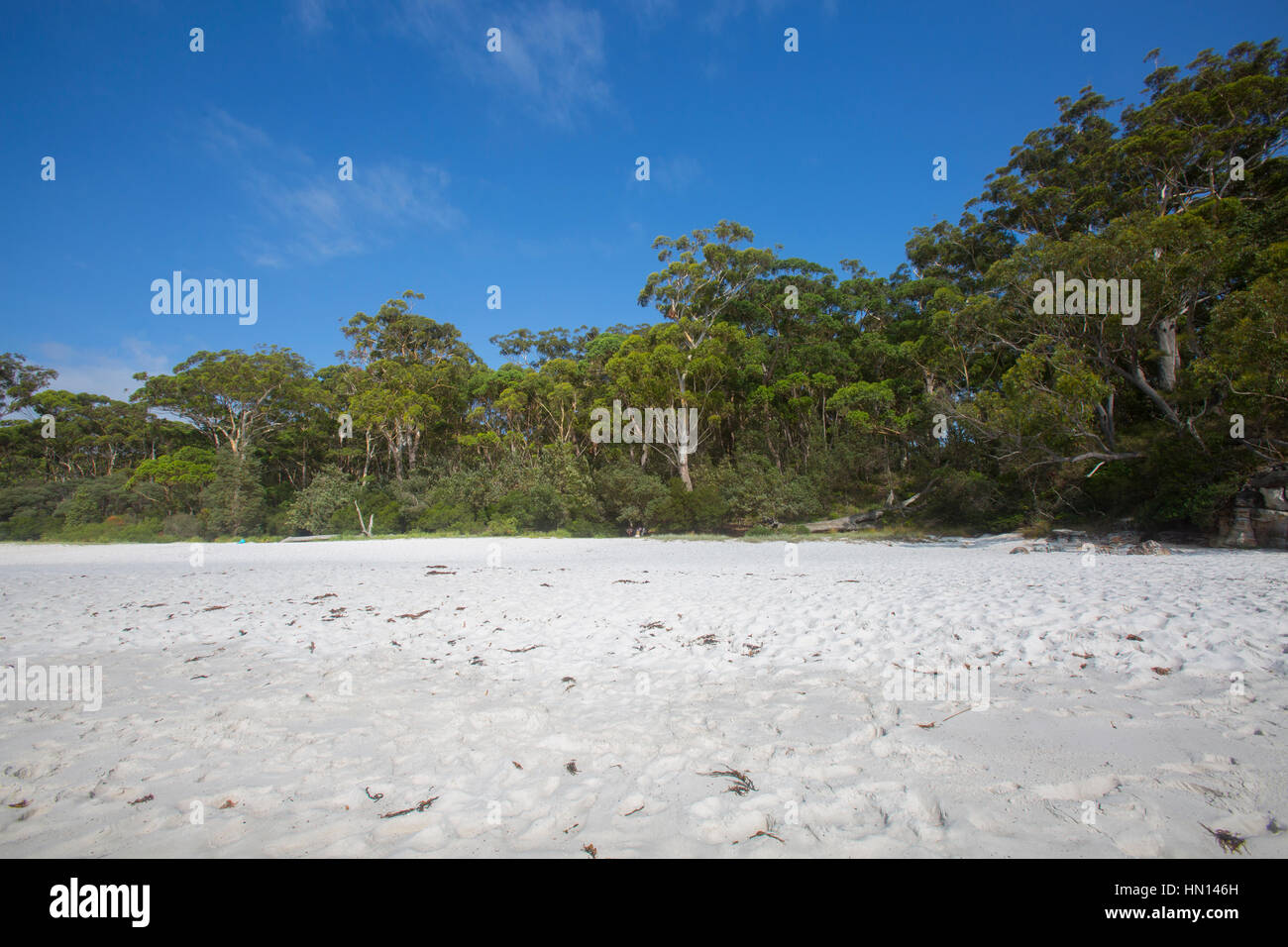 Weißen Strand von Greenfield, Jervis Bay, Südküste von New South Wales, Australien Stockfoto