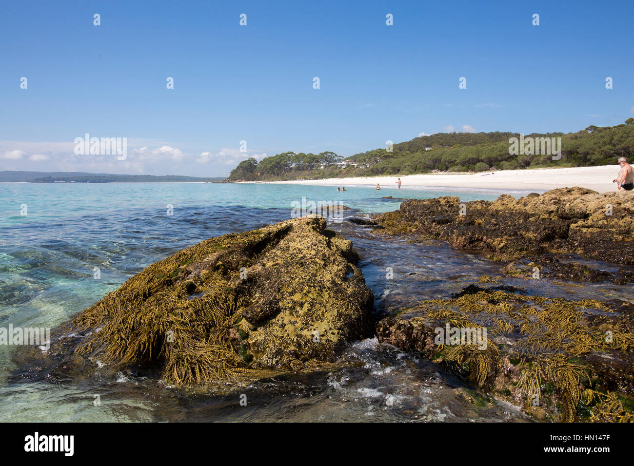 Chinamans Strand und Rock Formation an der Süd Küste von New South Wales im Jervis Bay ist bekannt für seine weichen, weißen Sand, Jervis Bay, Australien Stockfoto
