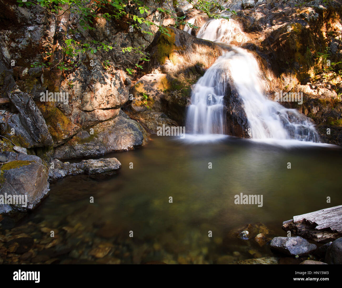 Schöne Mount Shasta Wildnis Stockfoto