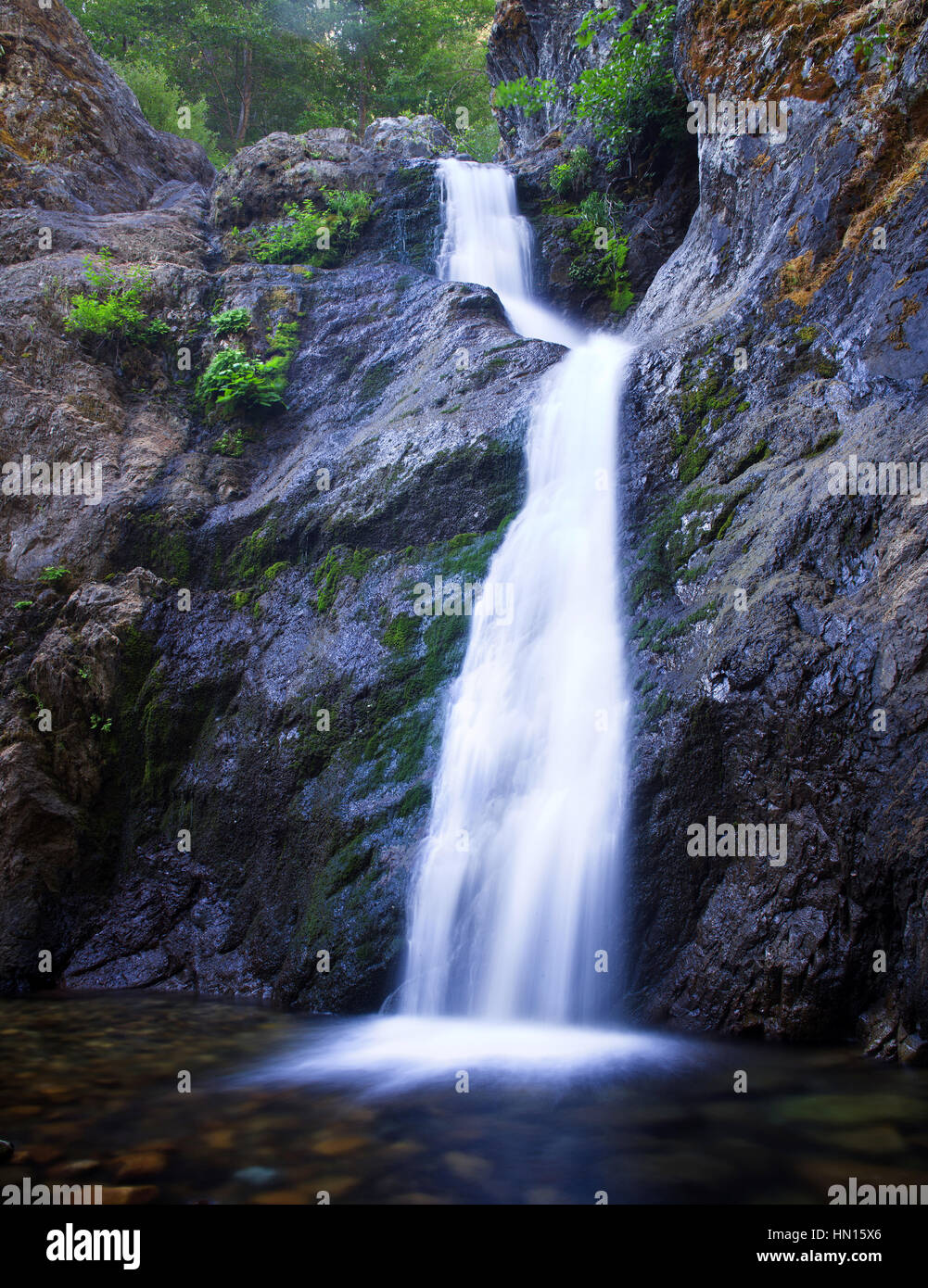 Schöne Mount Shasta Wildnis Stockfoto